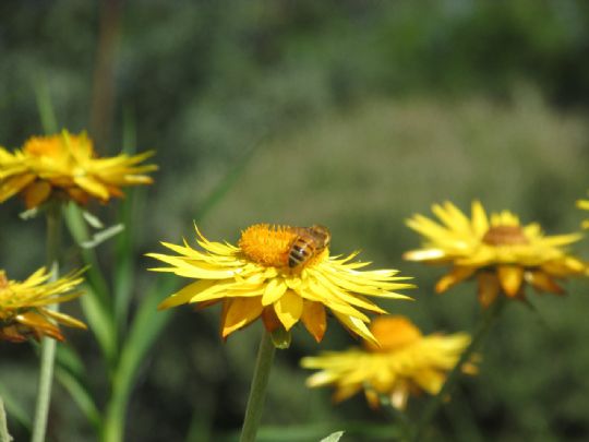 Photo for Movement and Mindfulness