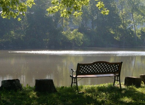 Park bench overlooking a pond