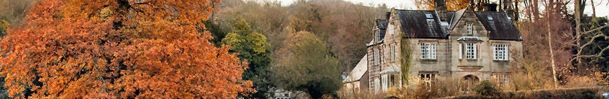 Wide photo of Dovedale House among autumn trees